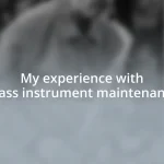 My experience with brass instrument maintenance