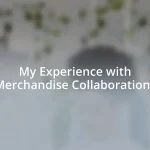 My Experience with Merchandise Collaborations