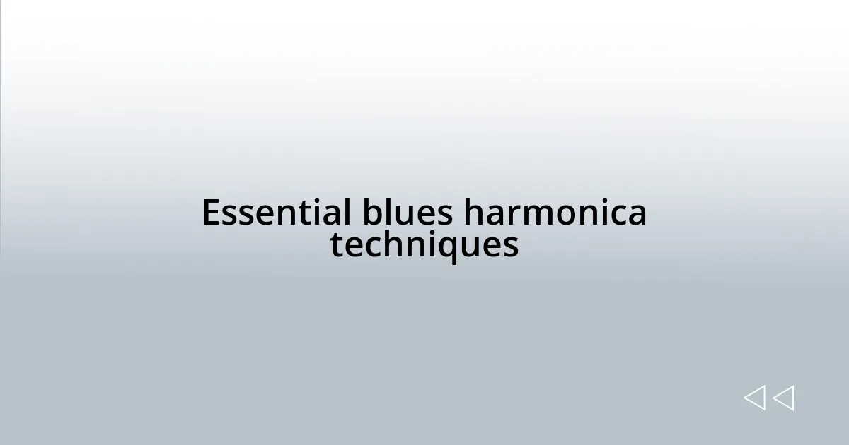 Essential blues harmonica techniques