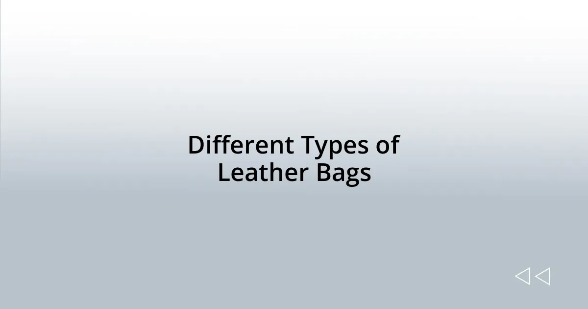 Different Types of Leather Bags